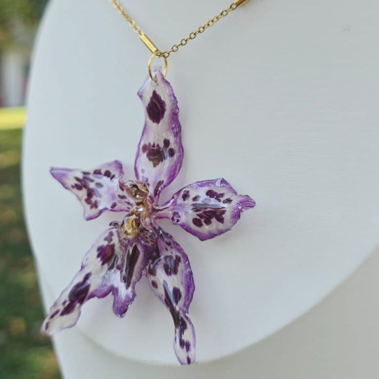 Collar orquídea Odontoglossum