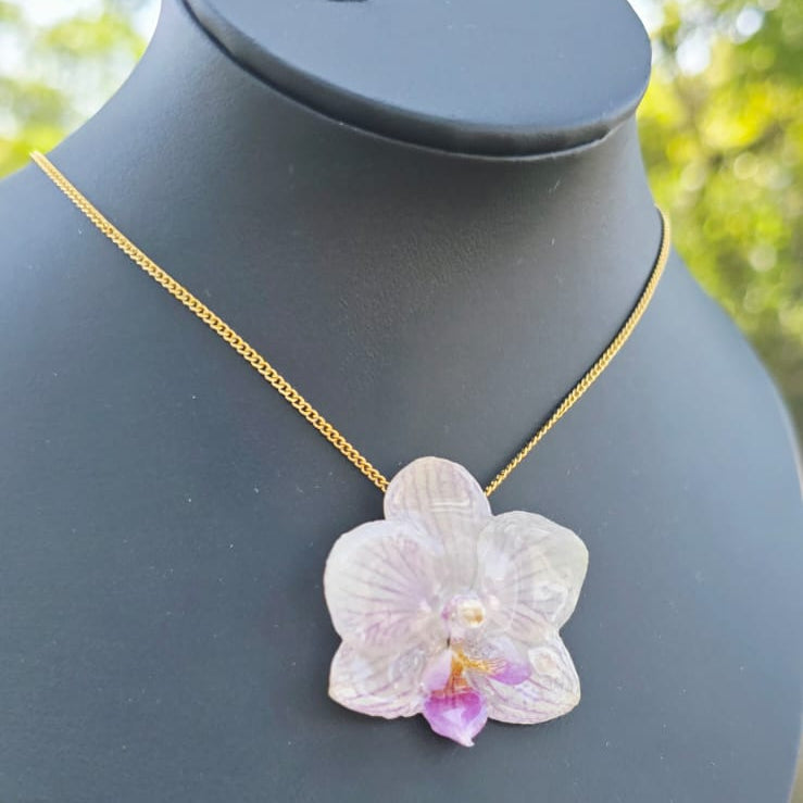 Collar orquídea Phalaenopsis
