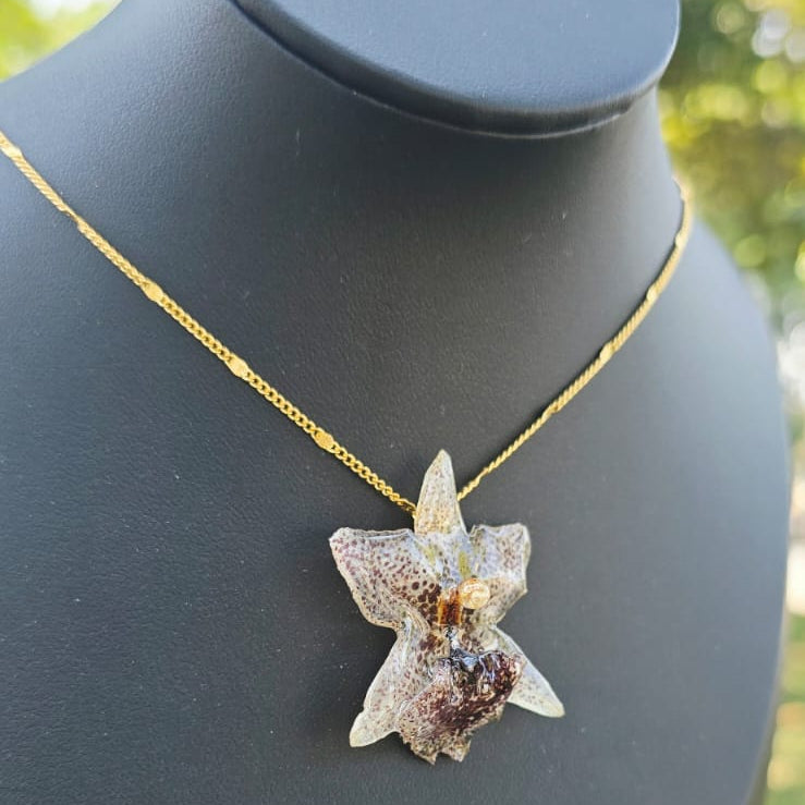 Collar orquídea Kefersteinia