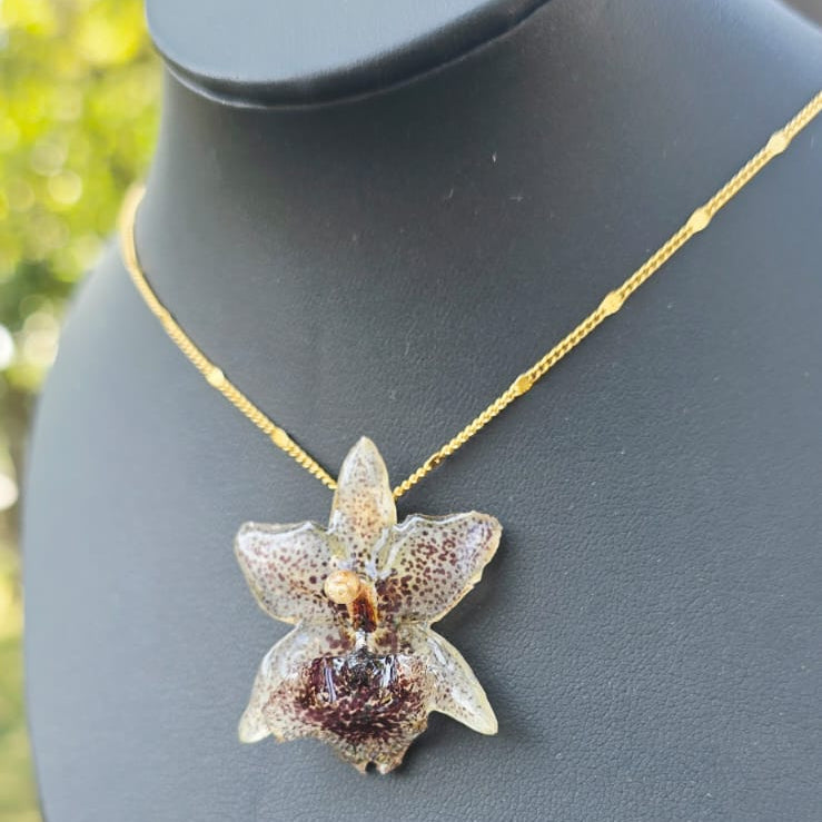 Collar orquídea Kefersteinia