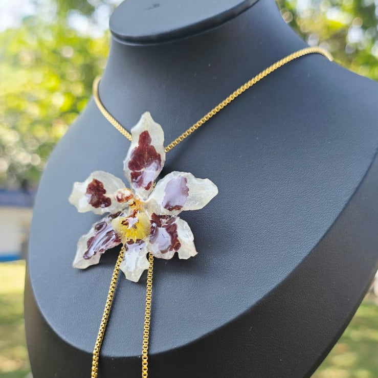 Collar ajustable orquídea Odontoglossum