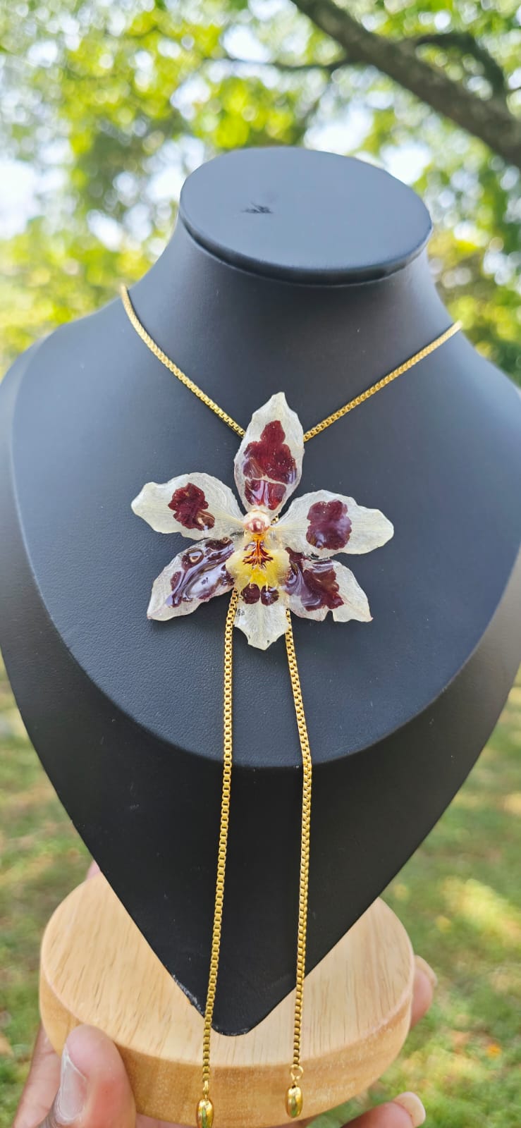 Collar ajustable orquídea Odontoglossum