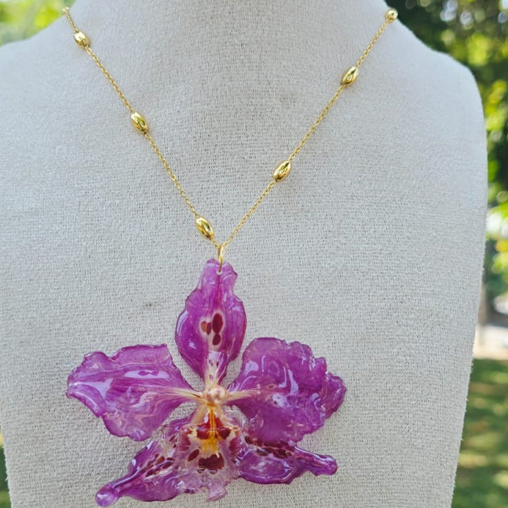 Collar orquídea Odontoglossum