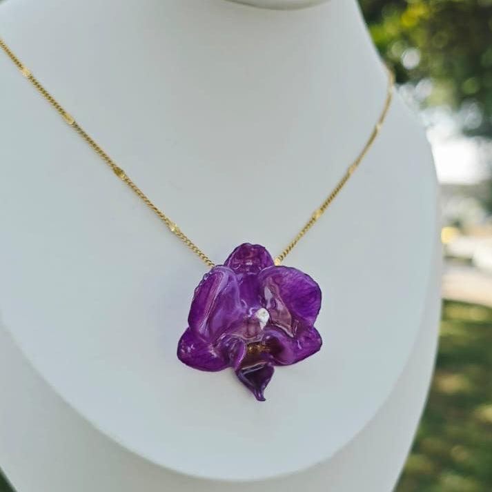 Collar orquídea Phalaenopsis