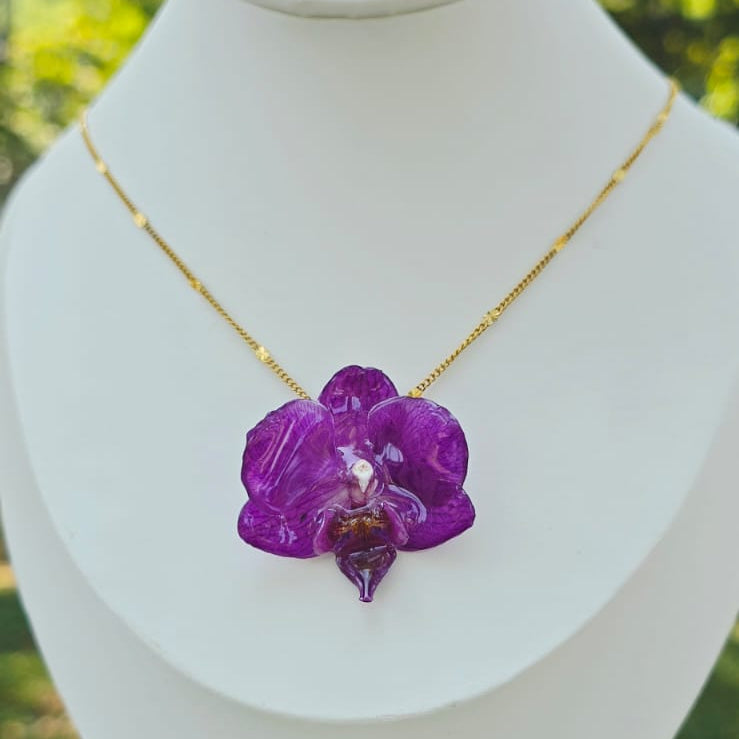 Collar orquídea Phalaenopsis