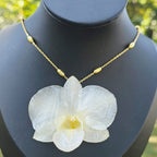 Orquídea Dendrobium