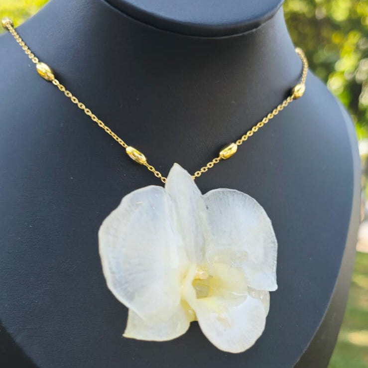 Orquídea Dendrobium