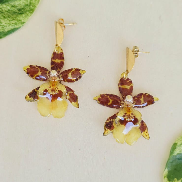 Aretes orquídea Oncidium