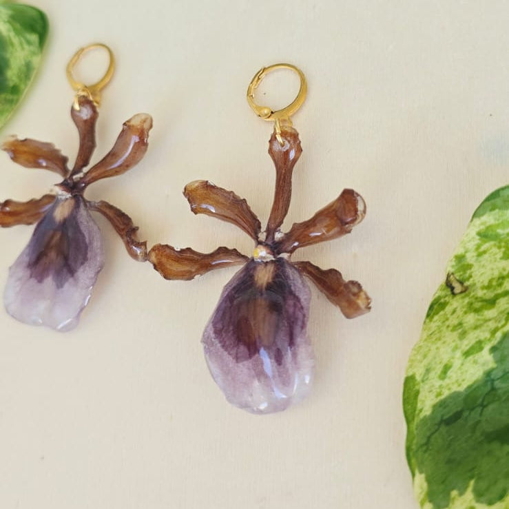 Aretes orquídea Oncidium