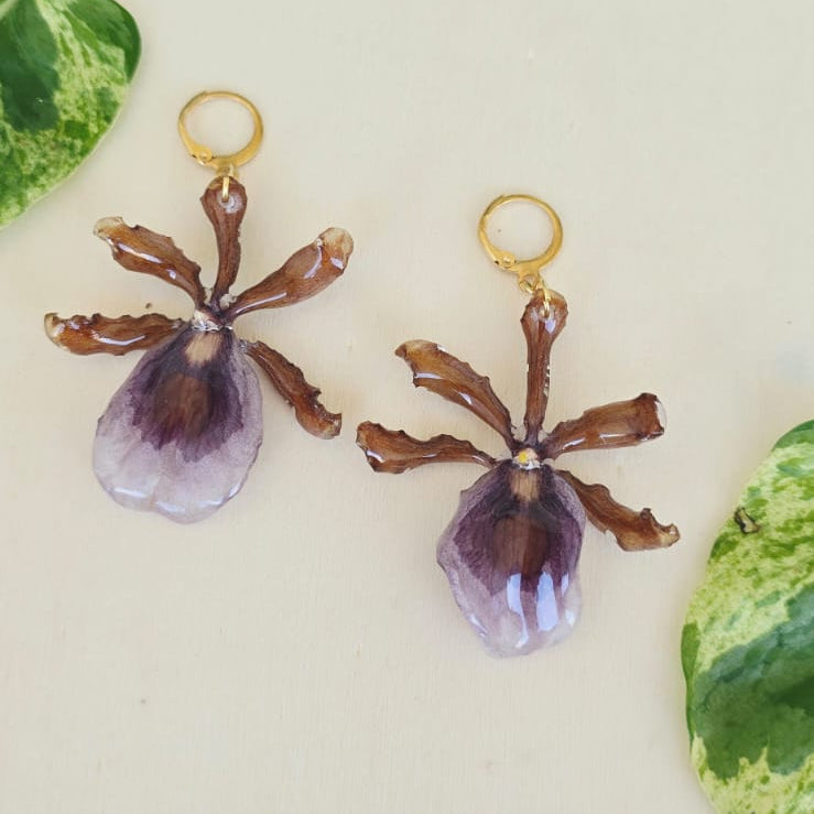 Aretes orquídea Oncidium