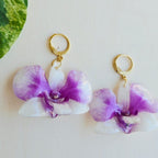 Aretes Dendrobium