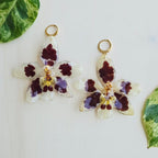 Aretes Odontoglossum