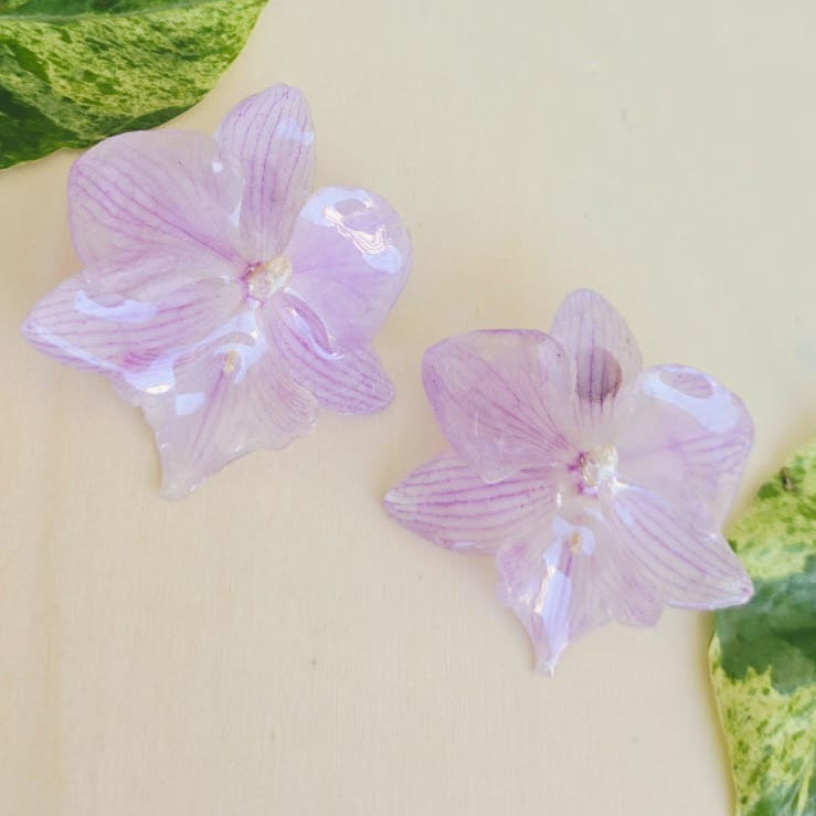 Topos Orquídea Phalaenopsis (Copia)