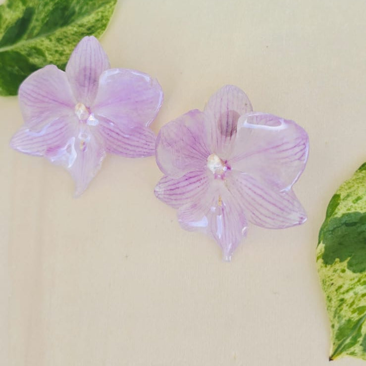 Topos Orquídea Phalaenopsis (Copia)