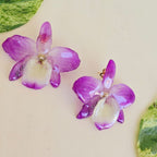 Topos Dendrobium