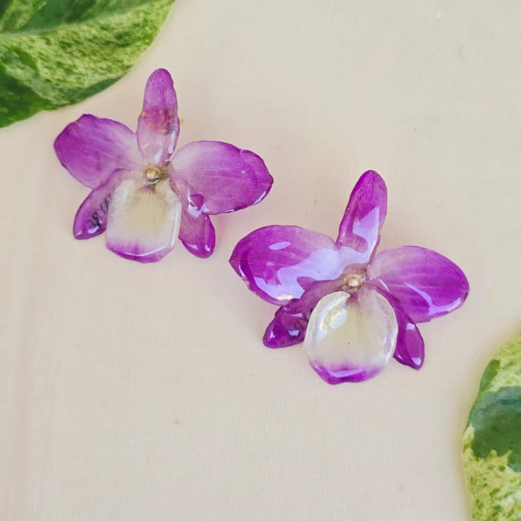 Topos Dendrobium