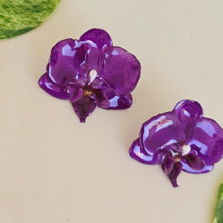 Topos orquídea Phalaenopsis