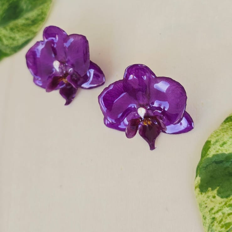 Topos orquídea Phalaenopsis