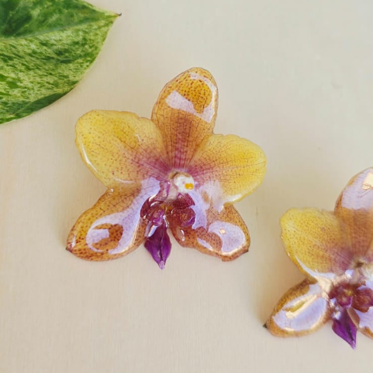 Topos Orquídea Phalaenopsis