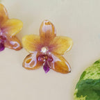 Topos Orquídea Phalaenopsis