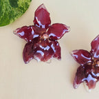 Topos orquídea Odontoglossum