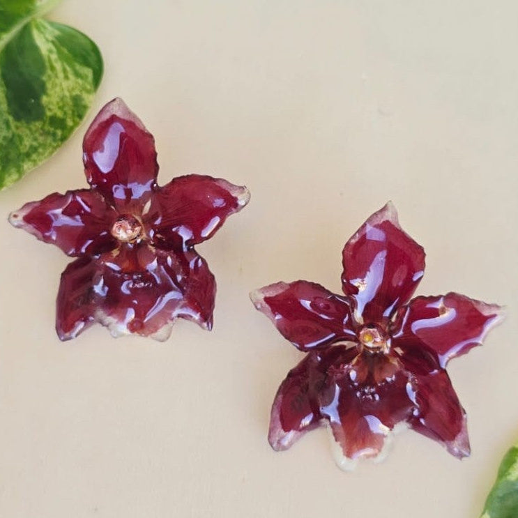 Topos orquídea Odontoglossum