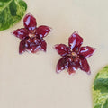 Topos orquídea Odontoglossum