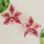 Topos Odontoglossum