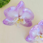 Topos Orquídea Phalaenopsis