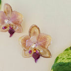 Topos orquídea Phalaenopsis