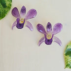 Topos Dendrobium