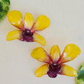 Topos Dendrobium