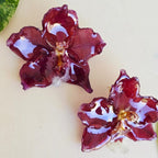 Topos orquídea Odontoglossum