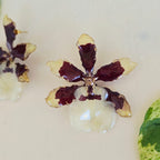 Topos orquídea Colmanara