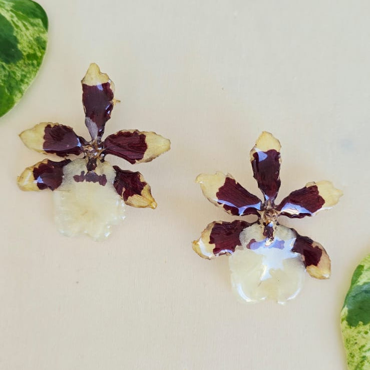 Topos orquídea Colmanara