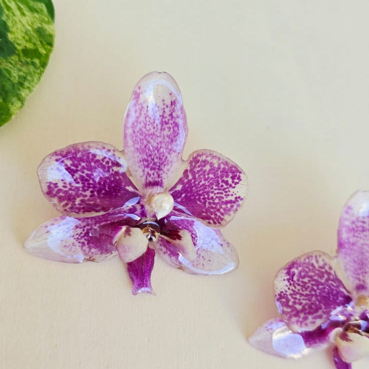 Topos orquídea Phalaenopsis