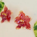 Topos orquídeas Odontoglossum