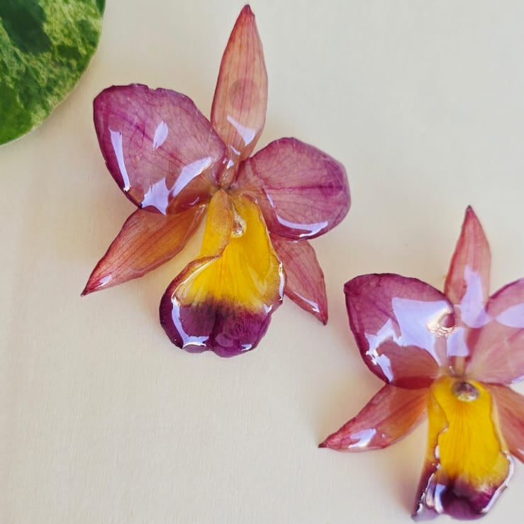 Topos Orquídea mini Cattleya