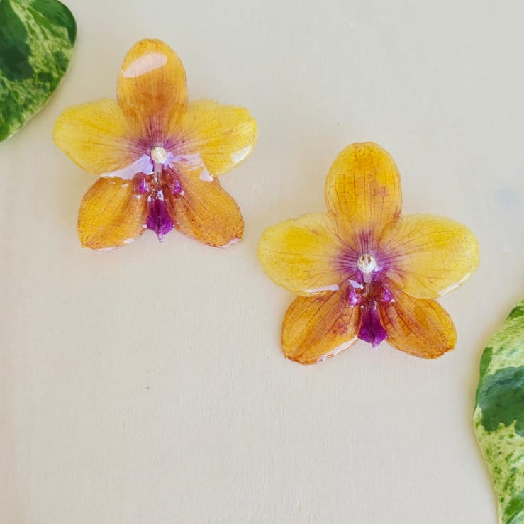 Topos Orquídea Phalaenopsis