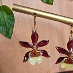 Topos orquídea Colmanara
