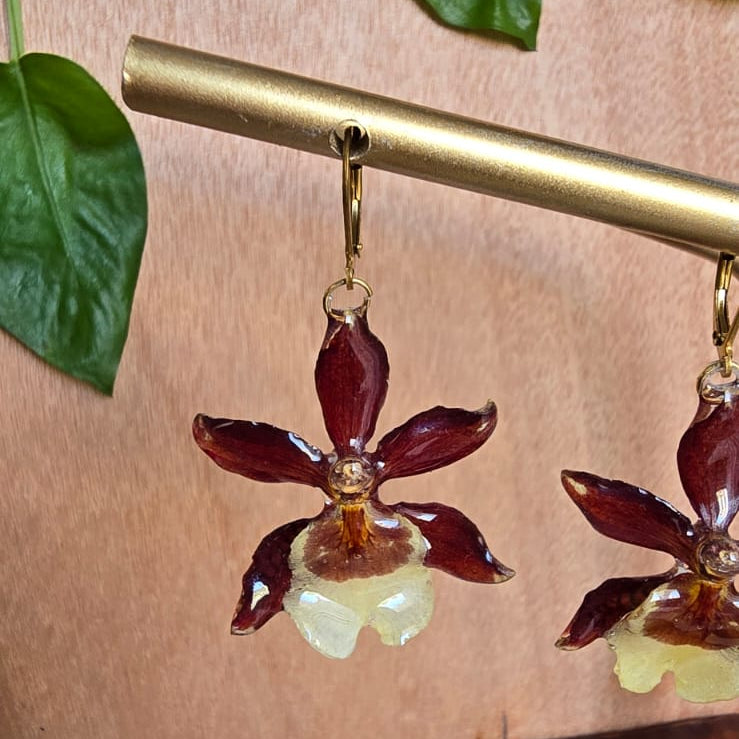 Topos orquídea Colmanara