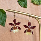Topos orquídea Colmanara