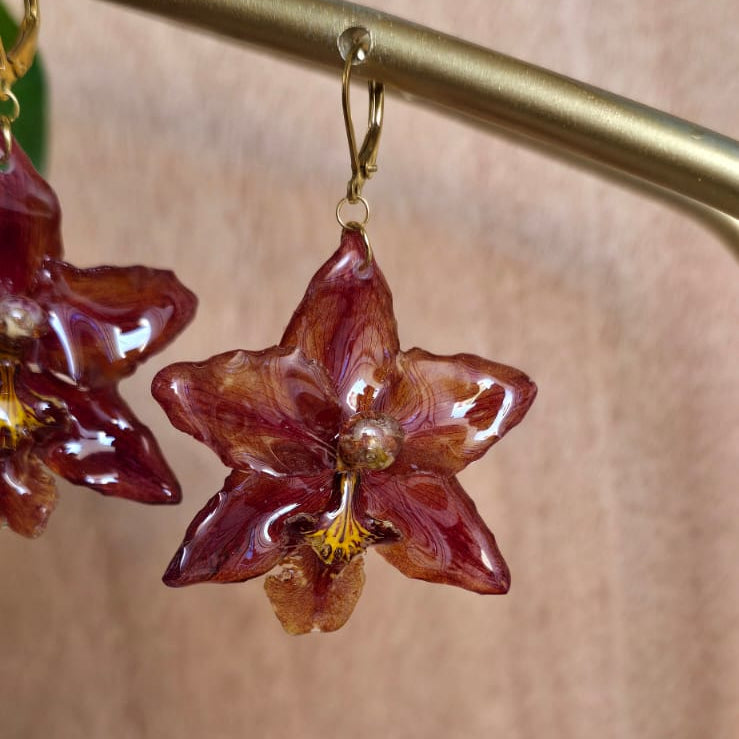 Aretes orquídea Oncidium