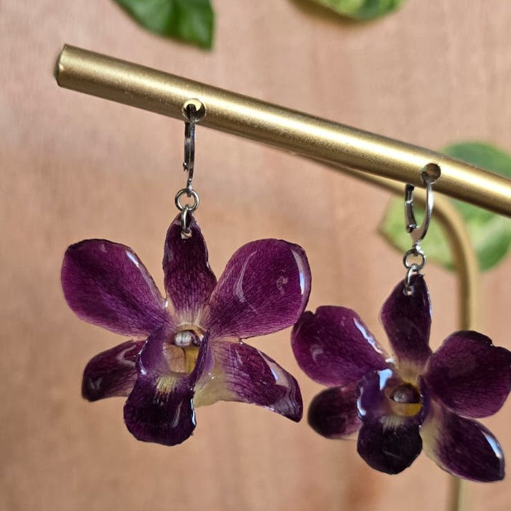 Aretes Dendrobium