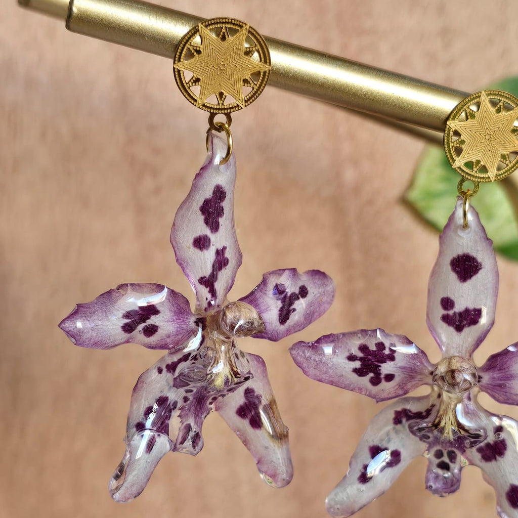 Aretes Odontoglossum