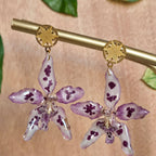 Aretes Odontoglossum