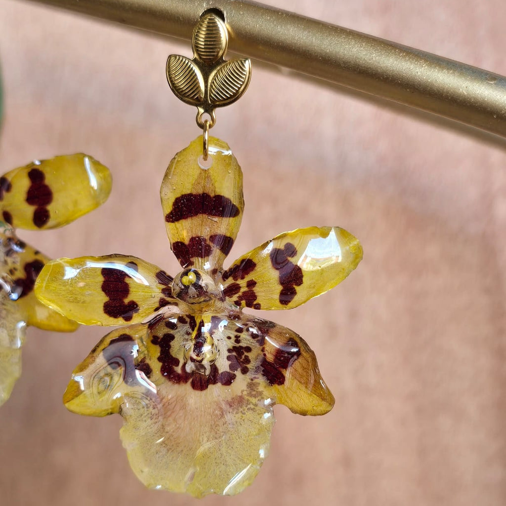 Aretes orquídea Colmanara