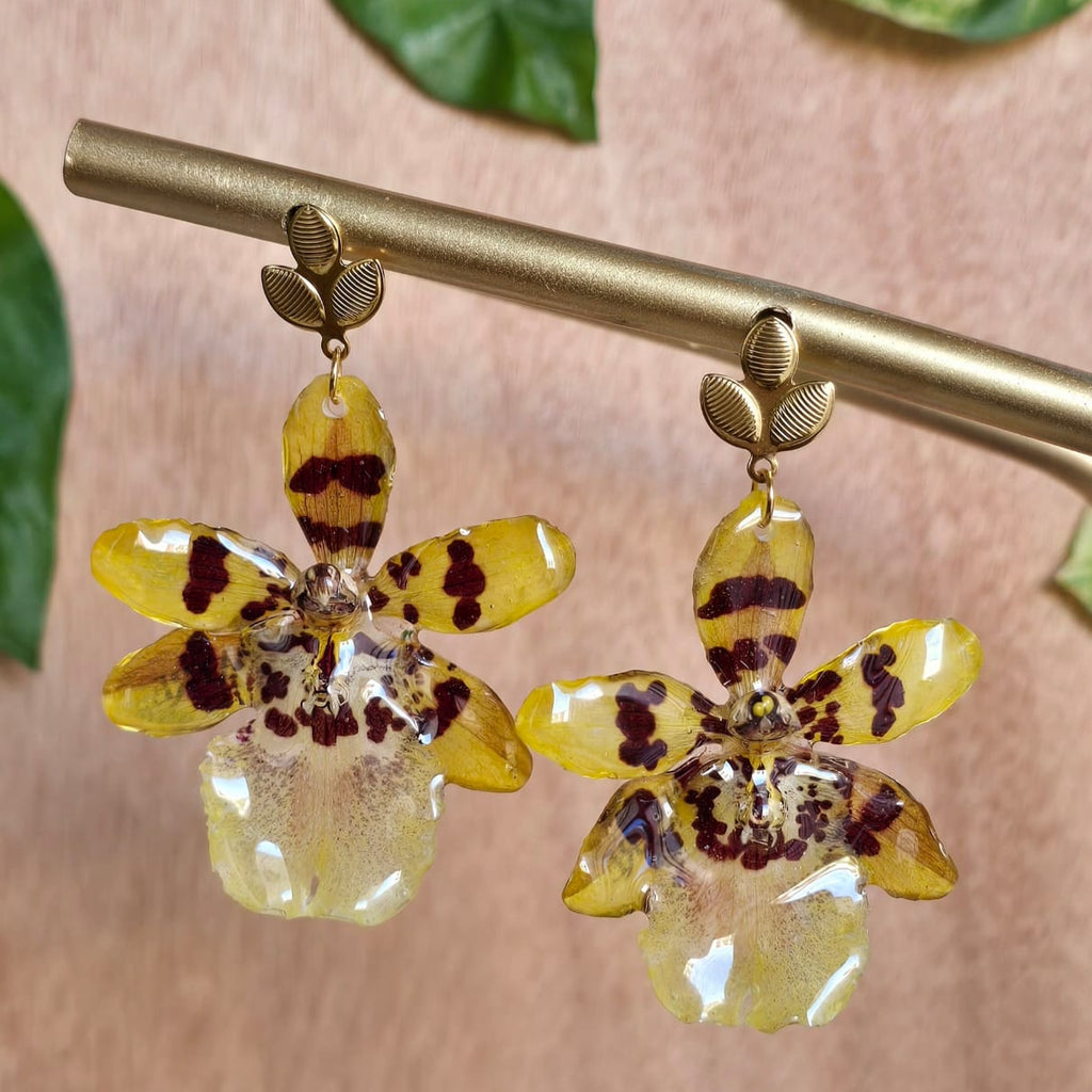 Aretes orquídea Colmanara