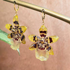 Aretes orquídea Colmanara