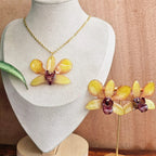 Conjunto Dendrobium